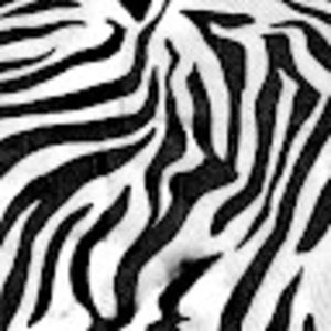 Meet your Posher, Jaynee